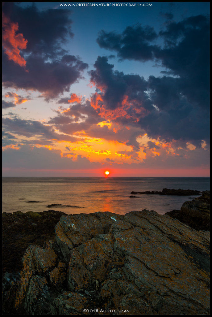 landscape #21