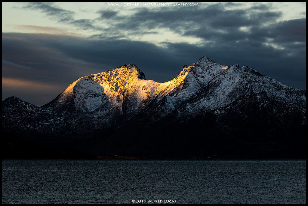 Landscape #2