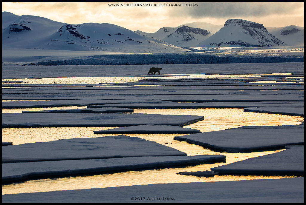 Landscape #4