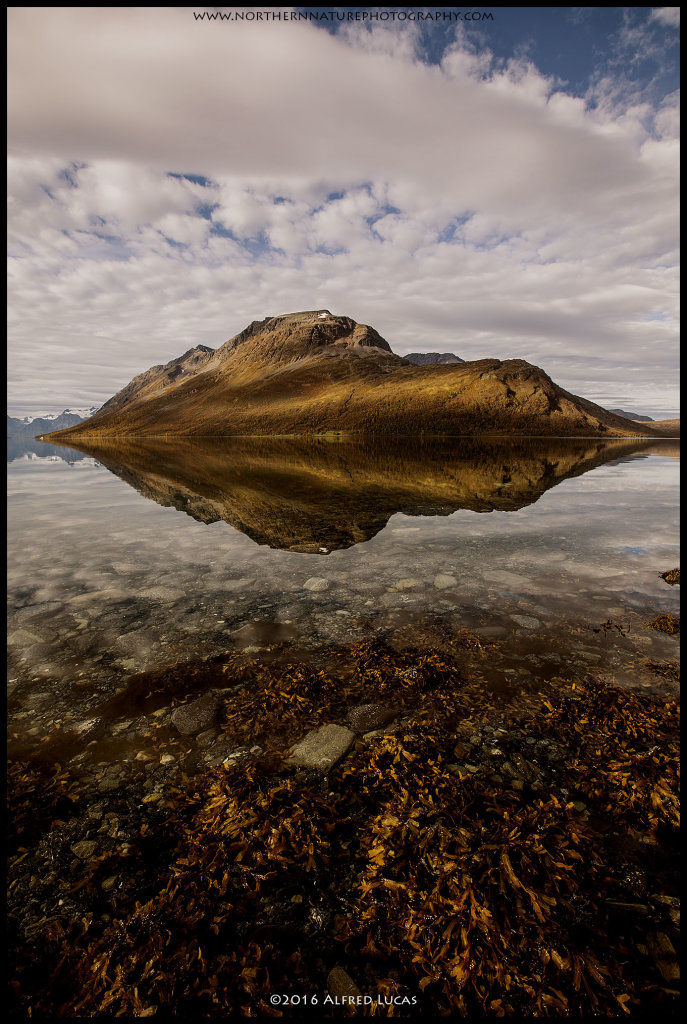 Landscape #6