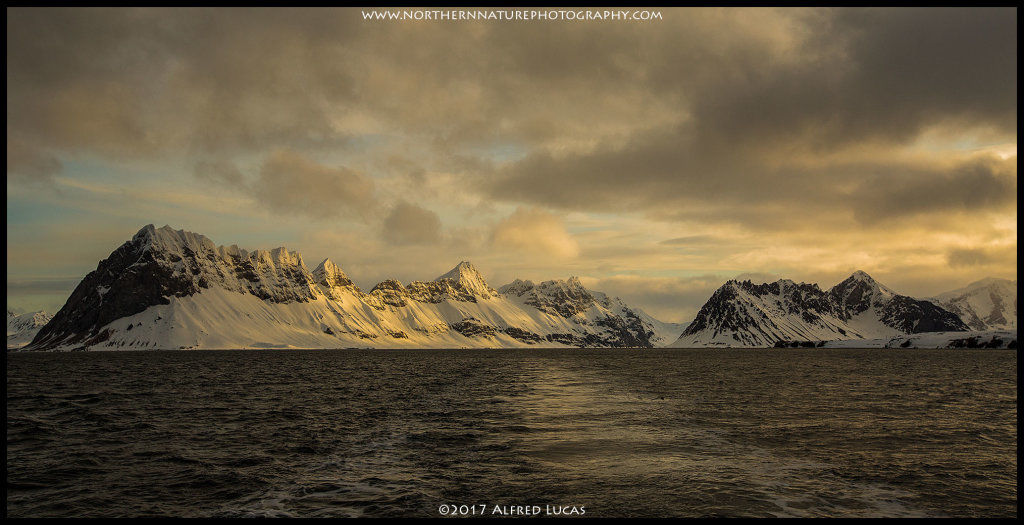 Landscape #7