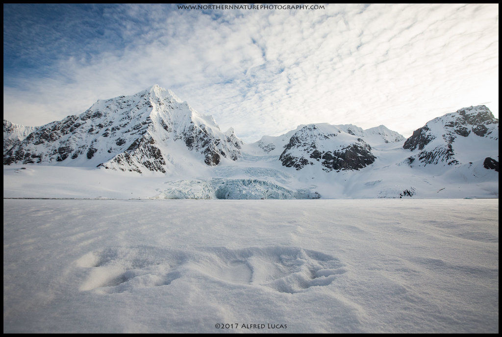 Landscape #8