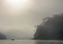 Alone In the Amazon. Photographer: Craig Mitchell
