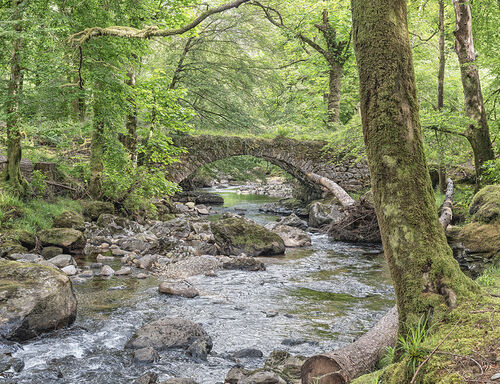 Cove Water. Scotland.  Photographer:  Peter wills