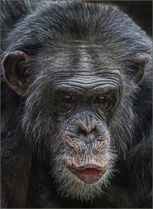 Captured Behind Glass.  Photographer:  Pauline Blade