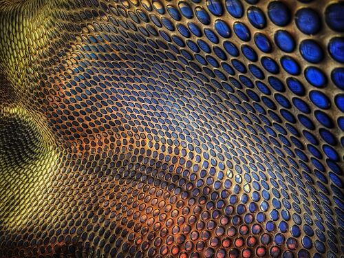 Circles In A Whirl.  Photographer:  Ornella Walker