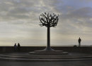 Early Evening Light. Photographer : Ornella Walker