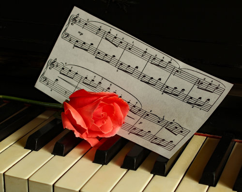 Piano & Rose. Photographer: Lorna O'Keefe