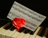 Piano & Rose. Photographer: Lorna O'Keefe