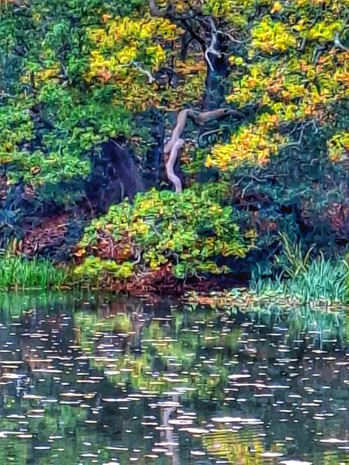 Monet's Birthday.  Photographer:  Dennis Shields