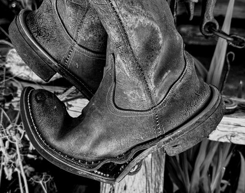 Old Boots.  Photographer:  Carol Khorsandyon