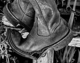 Old Boots.  Photographer:  Carol Khorsandyon