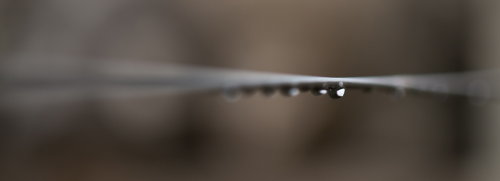 Raindrops