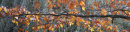 Special Branch