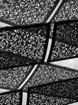 The Canopy. Photographer: Carol Khorsandyon