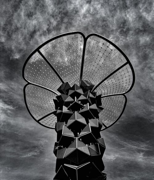 The Colony.  Photographer:  Carol Khorsandyon