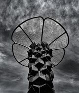 The Colony.  Photographer:  Carol Khorsandyon