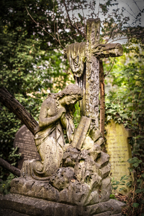 Thy Will Be Done. Photographer: Graham Caile
