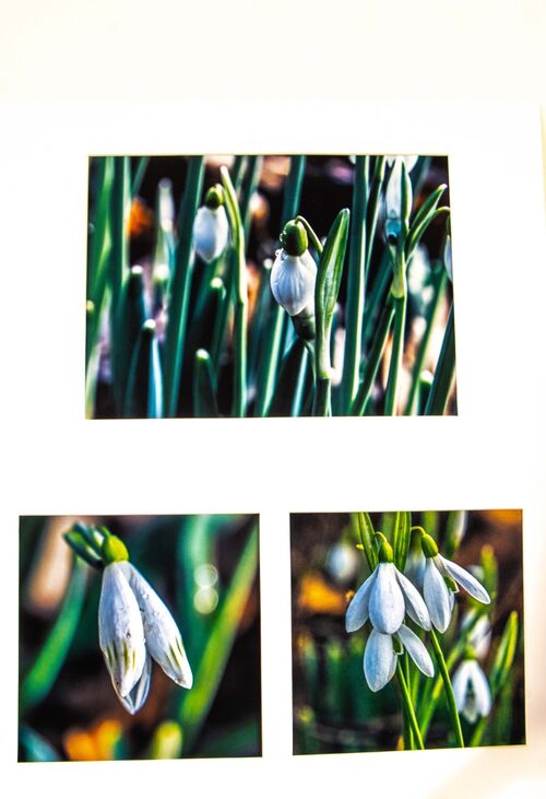 Whispers Of Spring.  Keith Upton