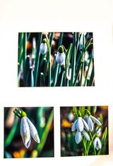 Whispers Of Spring.  Keith Upton