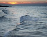 Splash Of Colour: Photographer: Ken Thorn