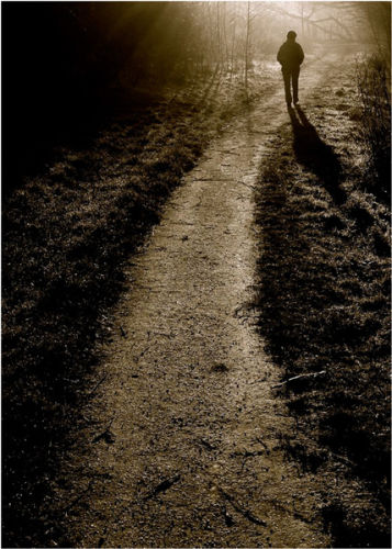 Walk Towards The Light