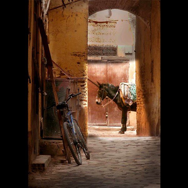 Working Donkey