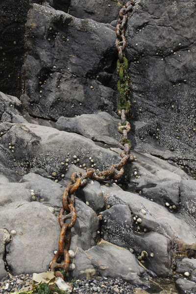 CHAIN REACTION