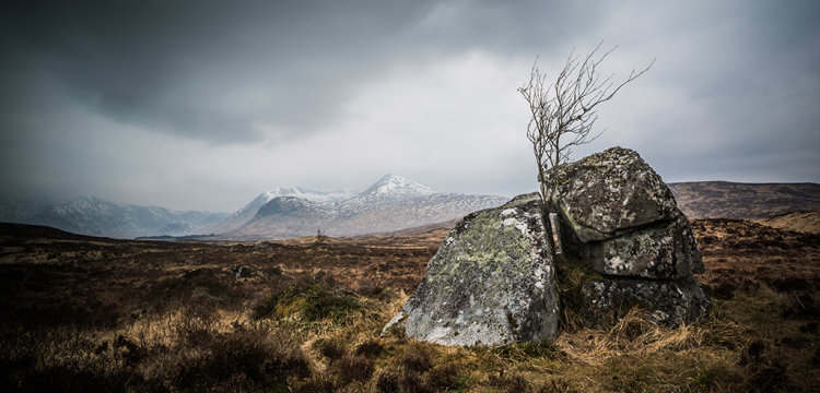 Glencoe