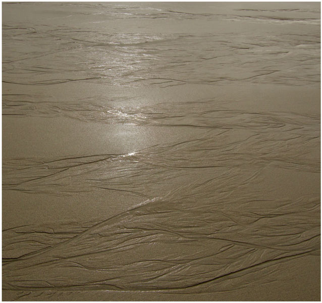 Patterns in the Sand