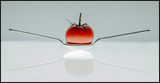 Still Life Competition January 2020