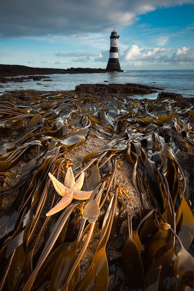Under the Lighthouse Dancing