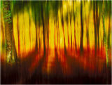 Autumnal Dream