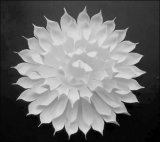 ORIGAMI