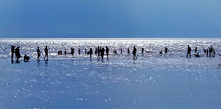 The Beach