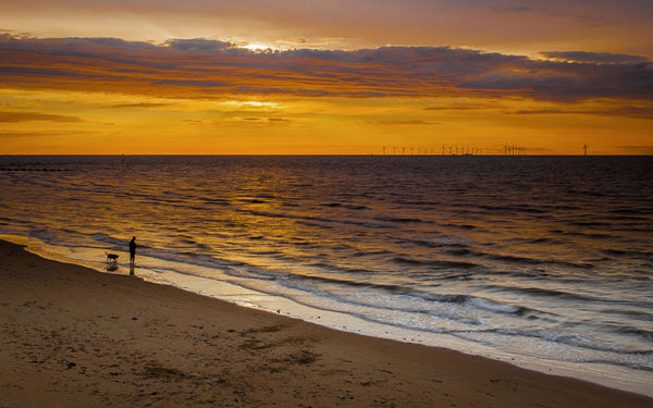 LOOKING OUT TO SEA
