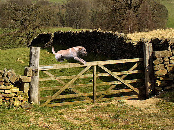Up and Over