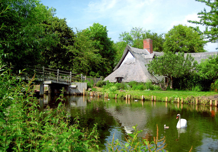 Bridge over the Stour