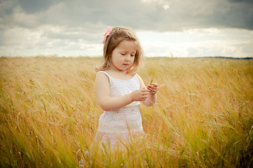 Fields of Gold