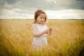 Fields of Gold