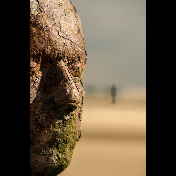 Face the Sands