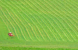 Haymaking