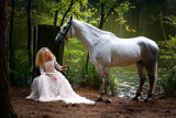 Alice in Delamere