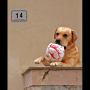 Can I Play?