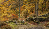 The Colours of Autumn