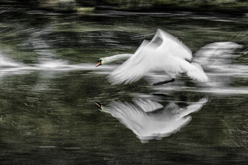 Warp Speed