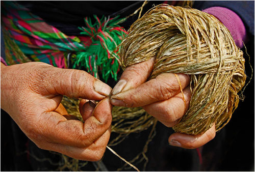 Twining Hemp