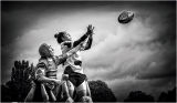 Ladies Rugby