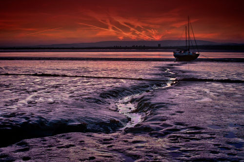 Tide Out