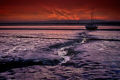 Tide Out